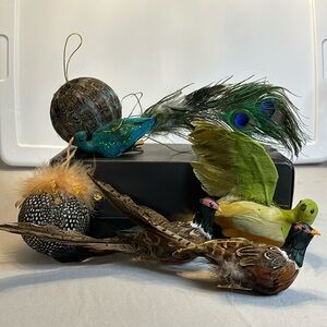 Bird and Feather Ornaments Set of 6